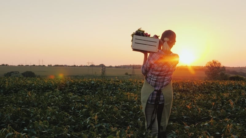 A Canadian farmer in a field