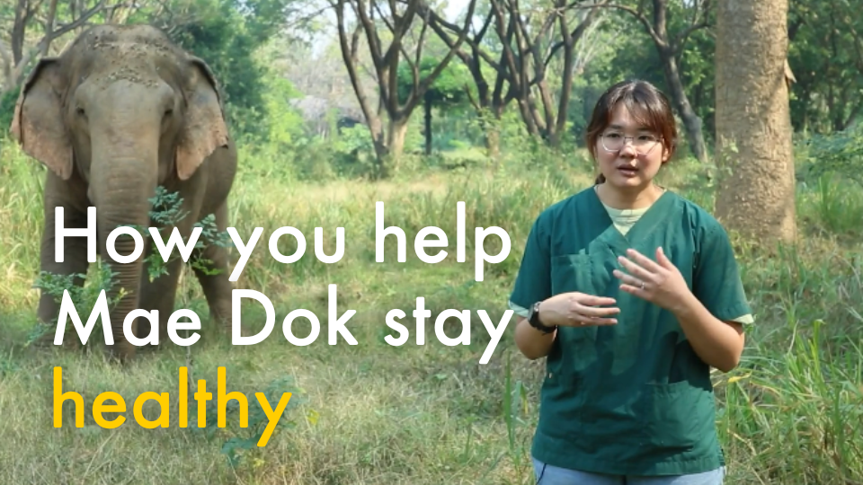 How you help Mae Dok stay healthy