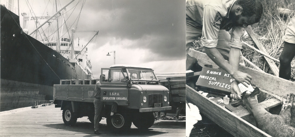 John Walsh and the local community rescued 10,000 wild animals from flood waters in Suriname, 1964.