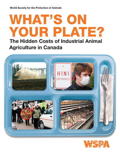 What's on your plate report