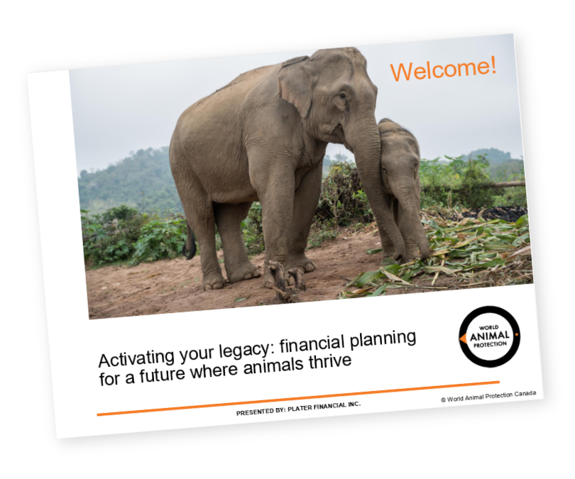 Activating your legacy slidedeck