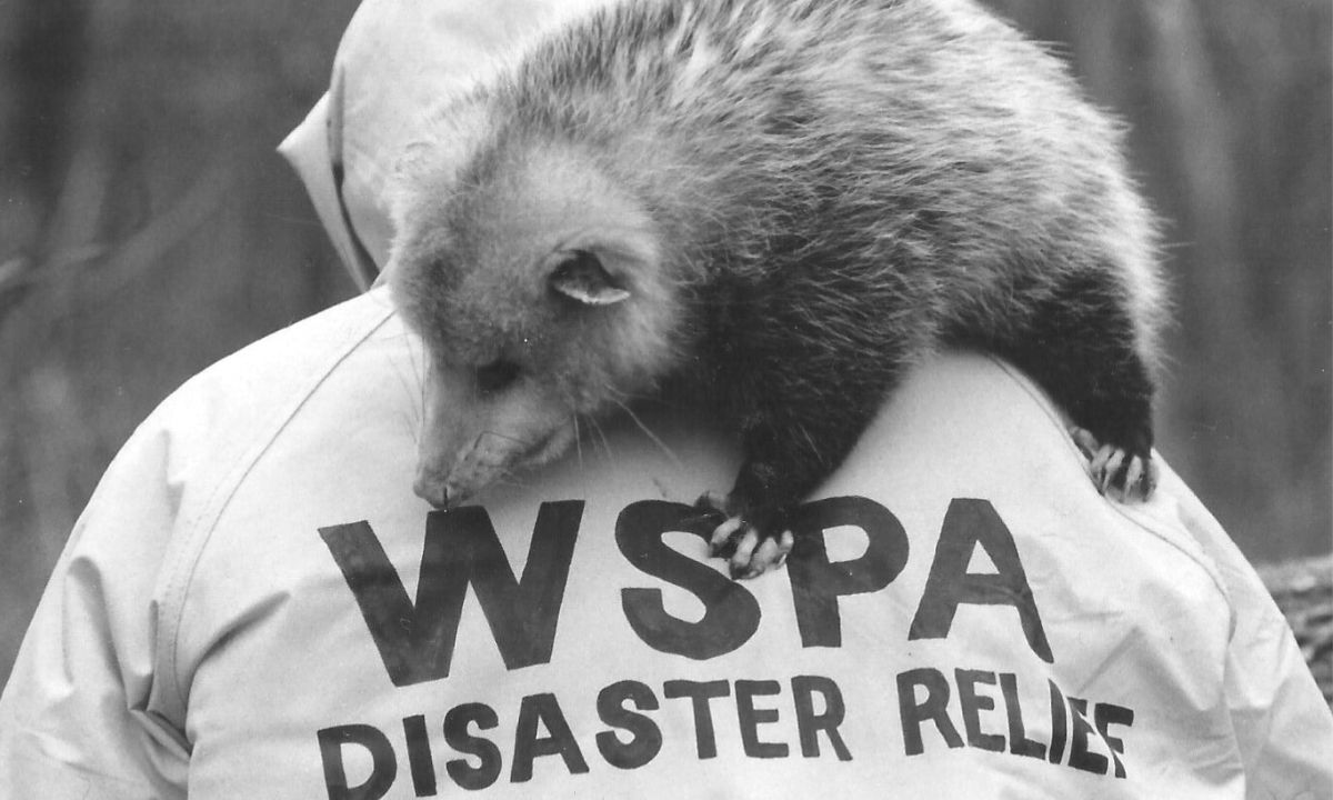 WSPA Disaster Relief
