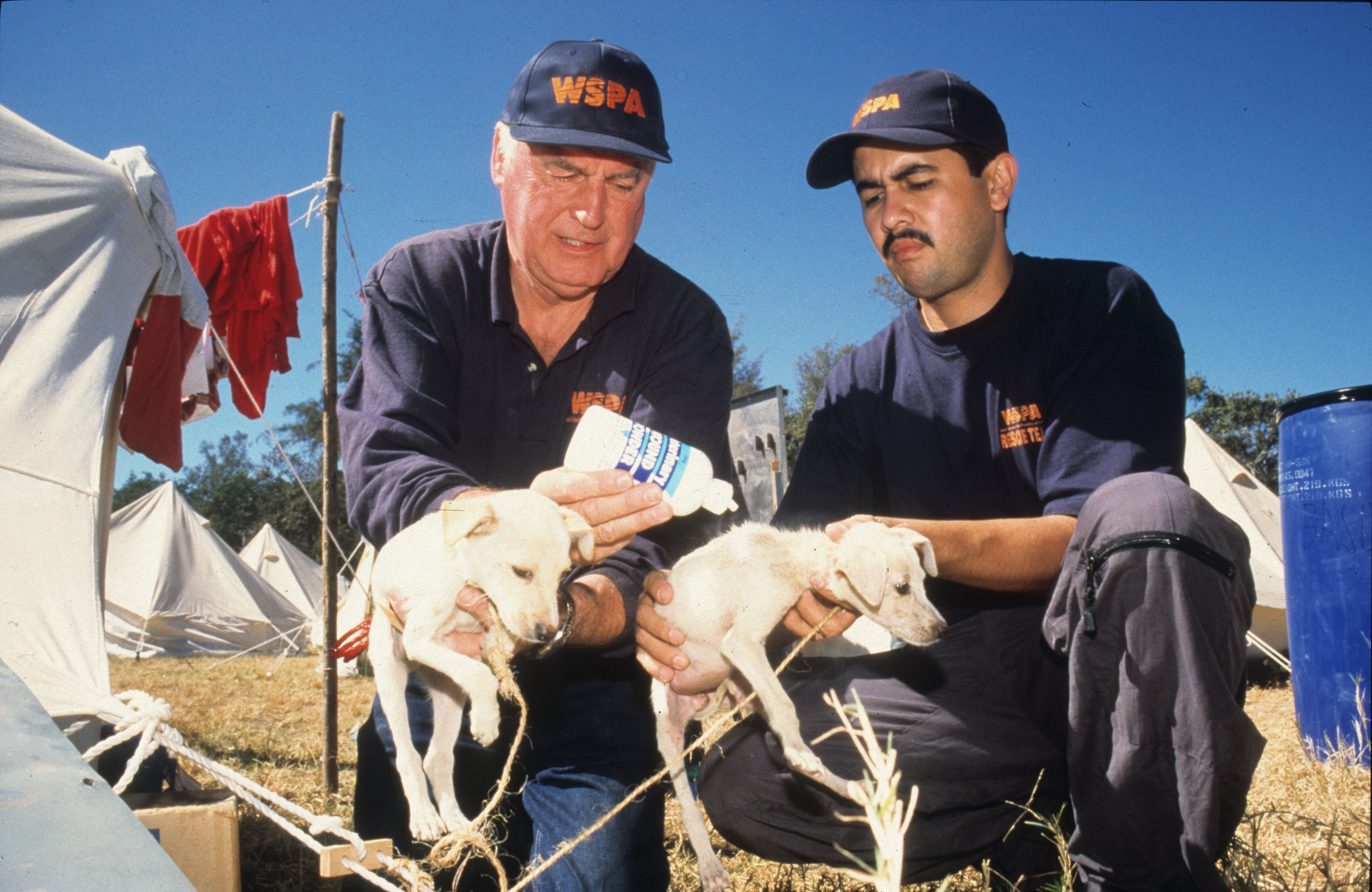 The WSPA responded to the El Salvador 2001 earthquake 