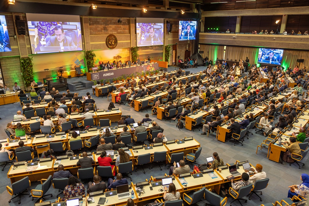 World Animal Protection presenting at the United Nations Environment Assembly