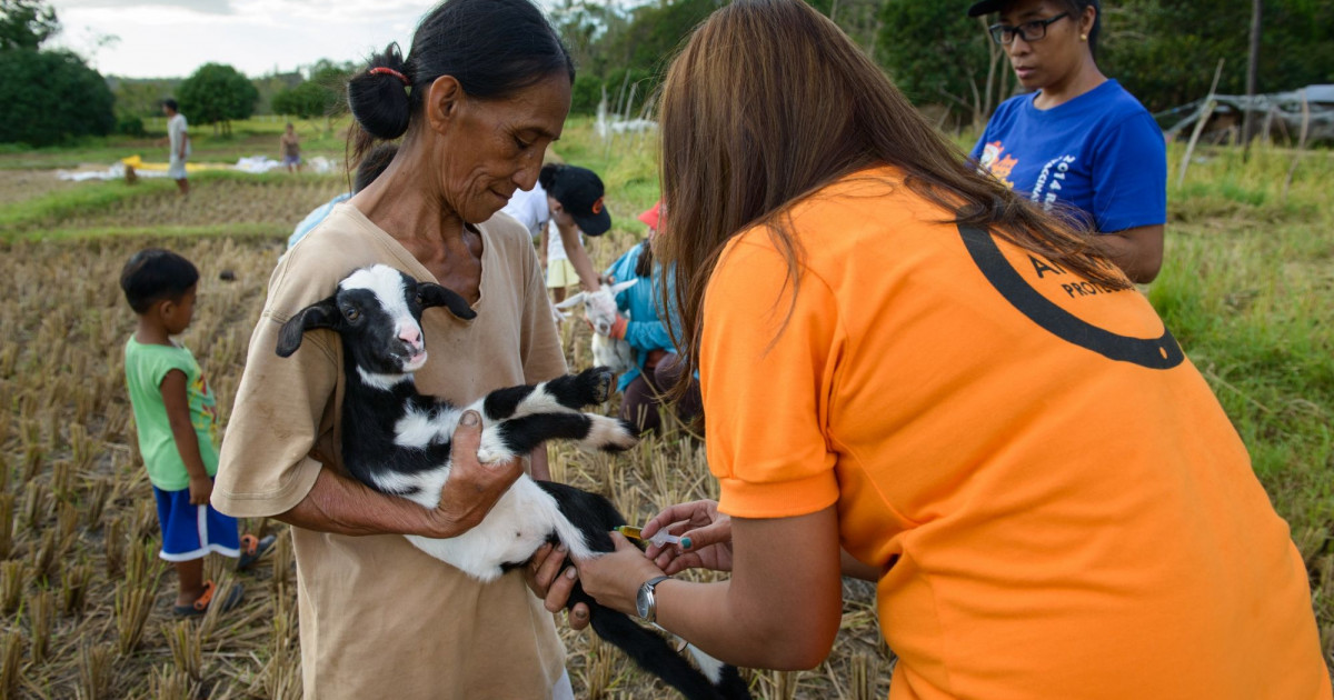UN recognizes animals in disaster risk reduction | [site:name]