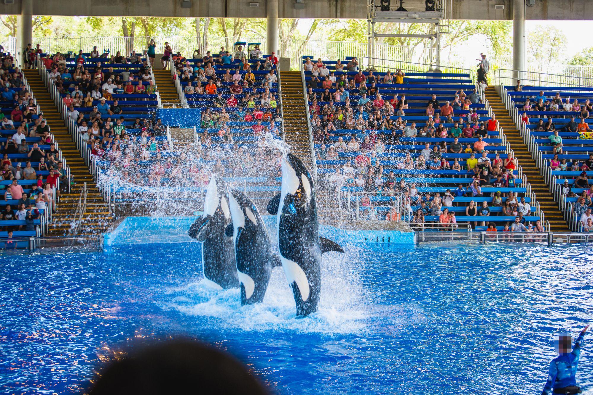 Cruelty in the world's top zoos