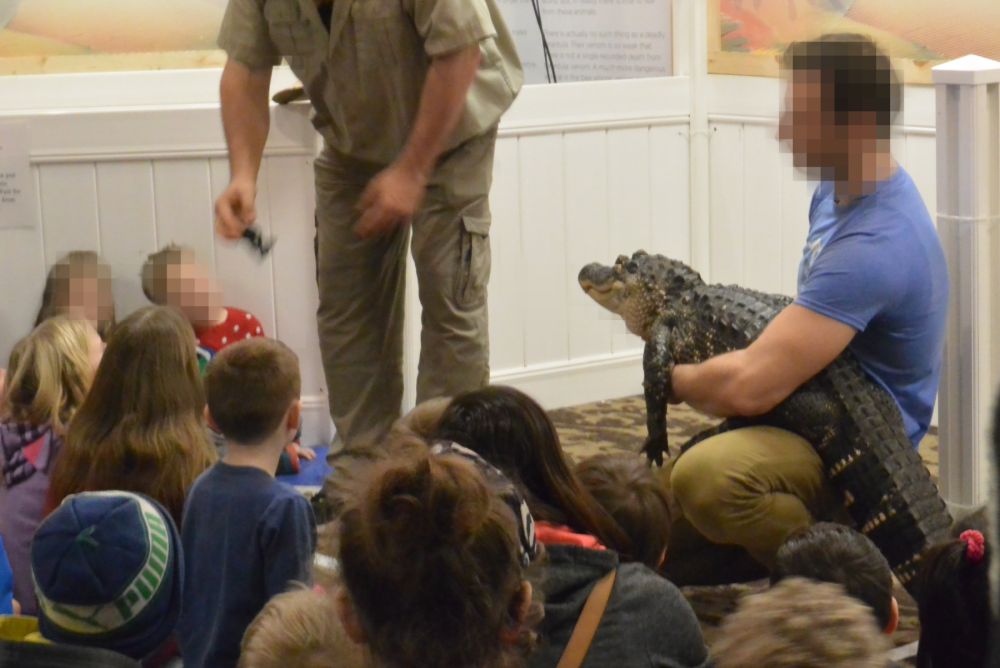 Mobile Live Animal Programs | World Animal Protection