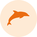 A dolphin icon