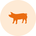 A pig icon