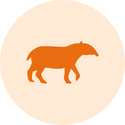 A icon of a tapir