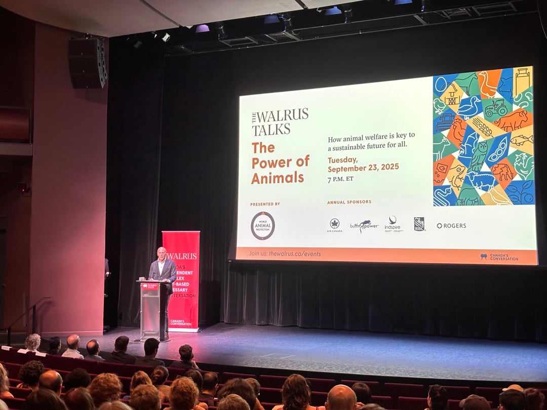 Walrus Talks recap: Exploring the Power of Animals