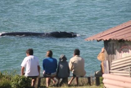 Santa Catarina Nursery Whale Heritage Area