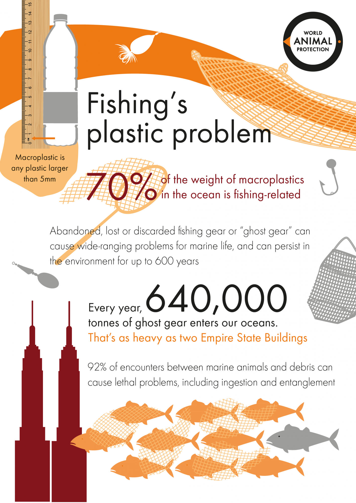 To stop the deaths of countless marine animals, we need to tag fishing gear  | World Animal Protection