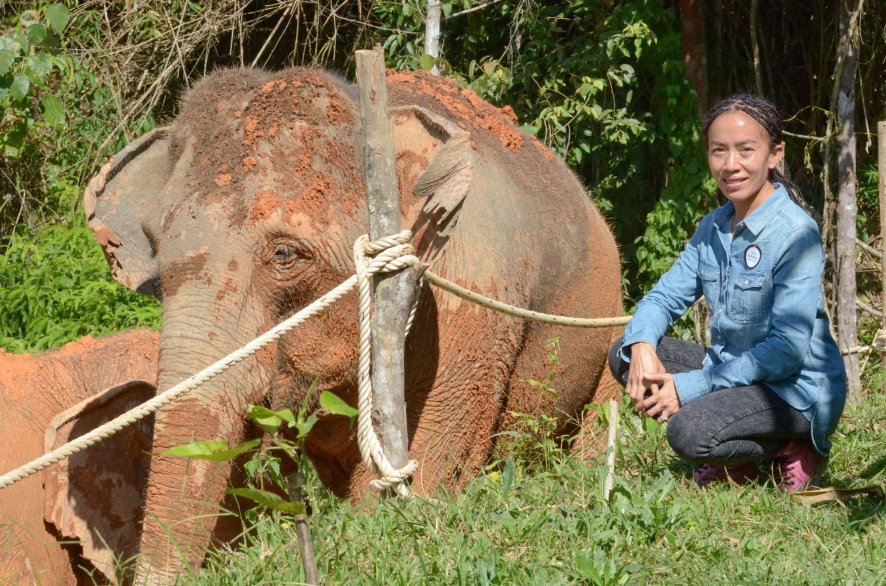Dee Kenyon, Elephant Venue Project Manager for World Animal Protection poses with an elephant at Chang Chill, Thailand.