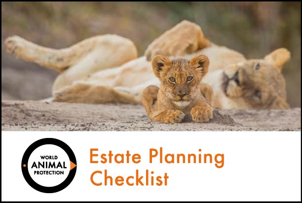 Estate planning checklist document