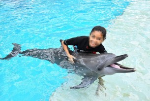Delfin i fångenskap
