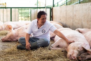 A man petting a pig in a high welfare farm