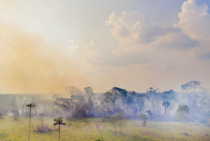 Brazil’s Amazon rainforest is in flames, burning at the highest rate since 2013.