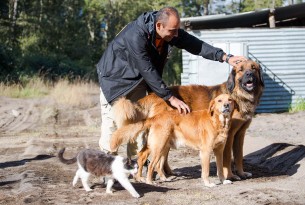 World Animal Protectoin's Sergio Vasquez is part of the disaster response team helping animals affected by the Calbuco Vocano eruption in Chile.