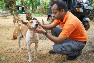 Dr. Akash Maheshwari examines a local dog in Malabe, a suburb of Colombo.