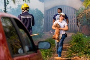 We’re on the ground to help animals affected by Amazon wildfires