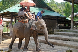 It's time to end elephant rides.