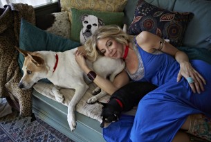 Canadian comedian Carla Collins backs campaign to save dogs