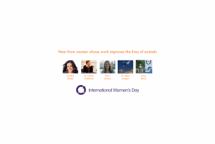 International Women's Day: Hear from women whose work improve the lives of animals