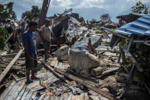 People try to move a cow as it sits in the rubble of destroyed buildings following an earthquake, 2018 in Palu, Indonesia