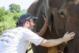 Dr Jan examining a rescued elephant at a sanctuary.