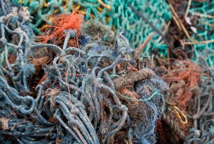 The deadliest catch: World’s biggest seafood companies must do more