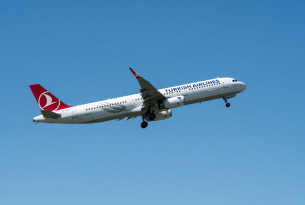 Poached African grey parrots smuggled on Turkish Airlines flights