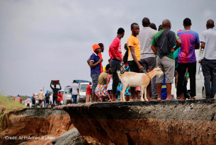 Cyclone Idai: We race to help up to 250,000 animals in Southern Africa