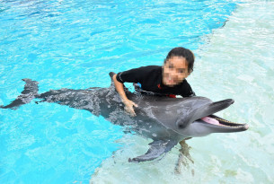 Girl with dolphin at cruel attraction - Wildlife. Not Entertainers - World Animal Protection