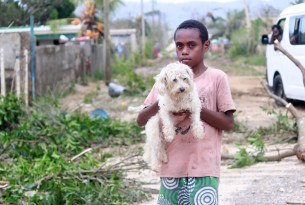 Global governments must commit to protecting animals in disasters