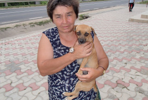 A woman brings her dog to the Save the Dogs mobile clinic