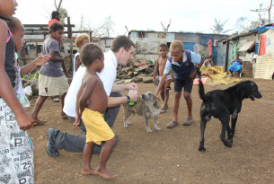Relief efforts begin to protect animals in Vanuatu