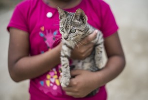 5 ways you’ve helped cats in need