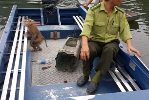 The rescue team in a boat with the two macaques