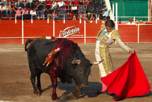 bullfighting 
