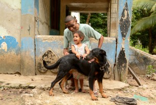 New efforts to continue fight against rabies 