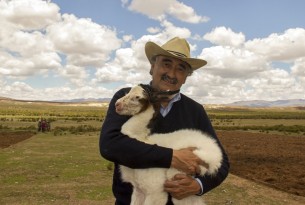 Bringing relief to drought-affected animals in Bolivia