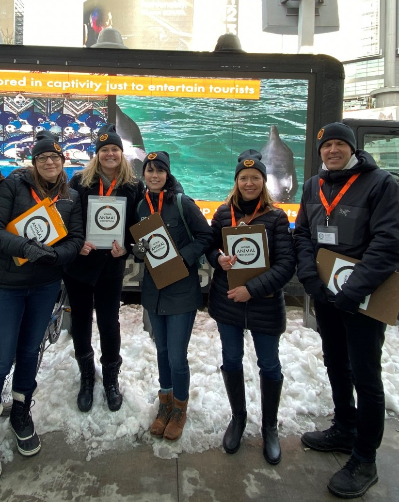 Pictured: World Animal Protection Canada team campaigning on the streets.