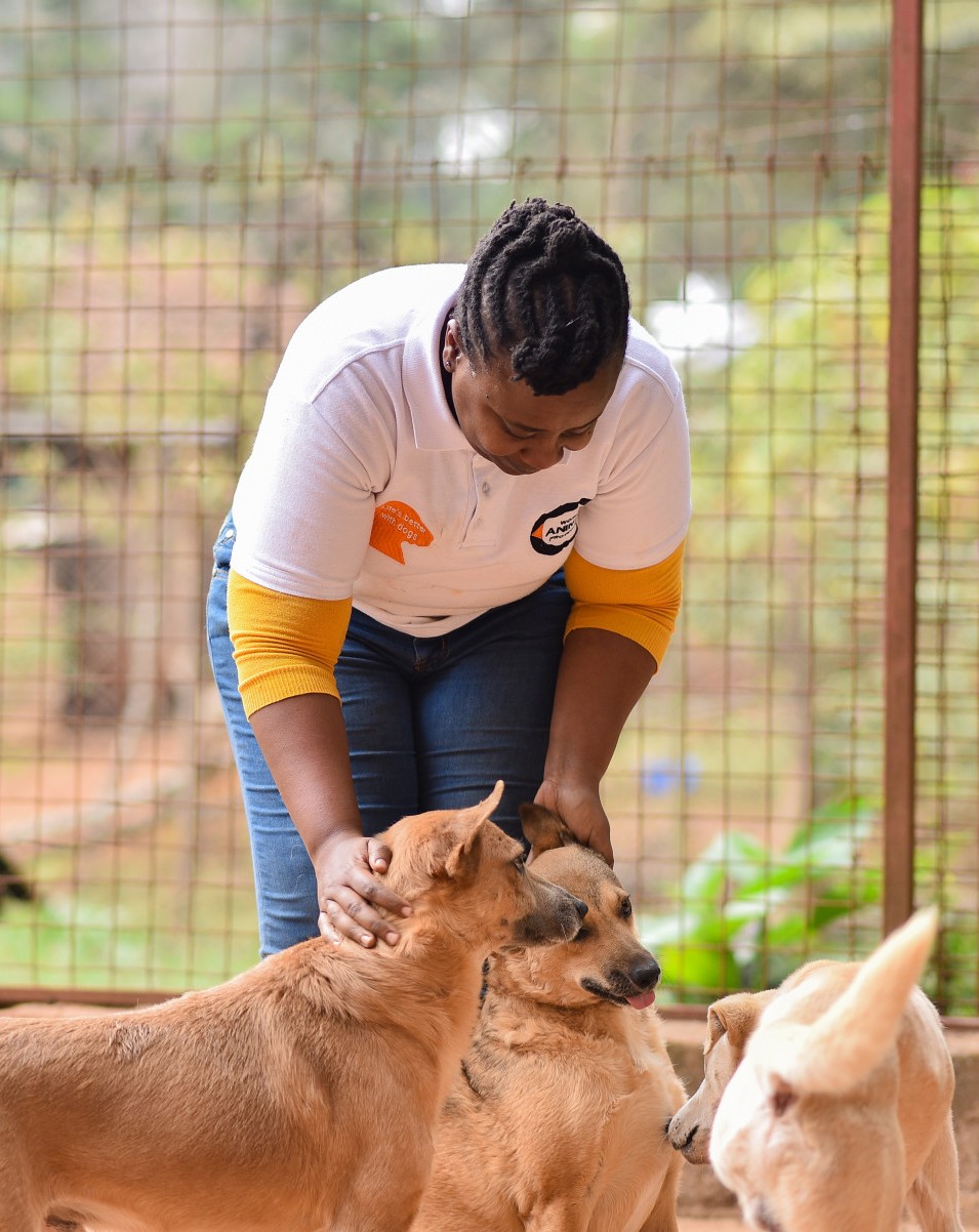 World Animal Protection staff petting dogs