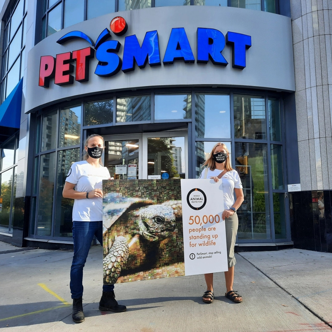 World Animal Protection staff outside of PetSmart