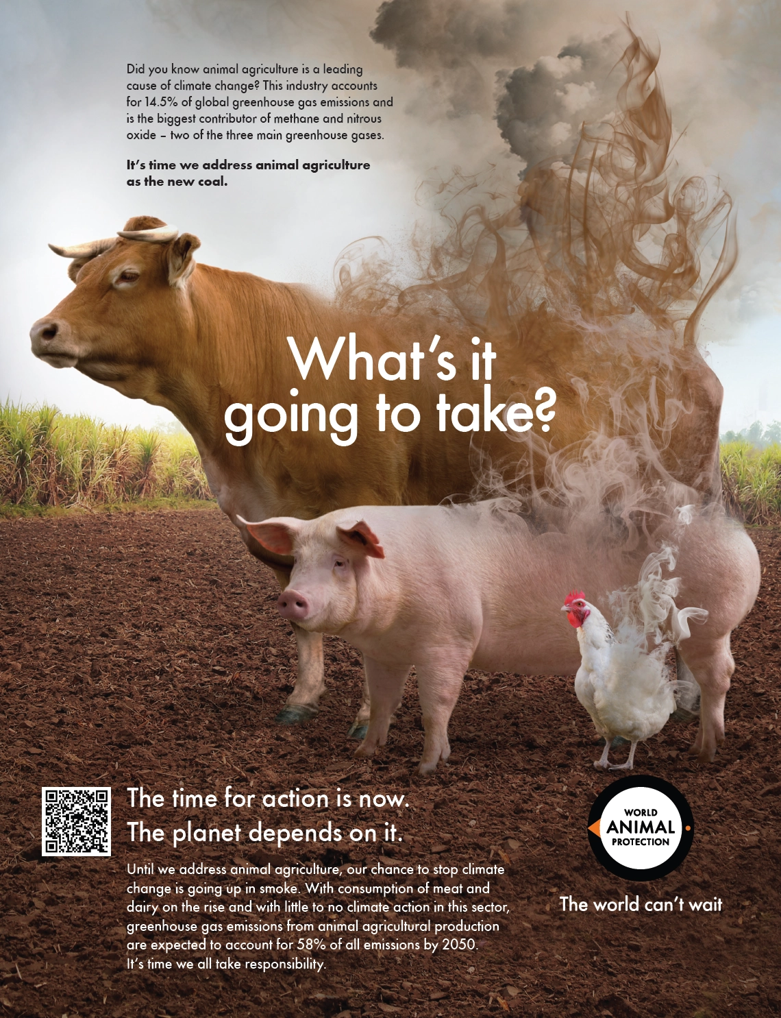 What's it going to take? It’s time we address animal agriculture as the new coal.