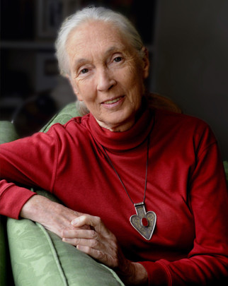 Dr Jane Goodall. Image credit: Stuart Clarke