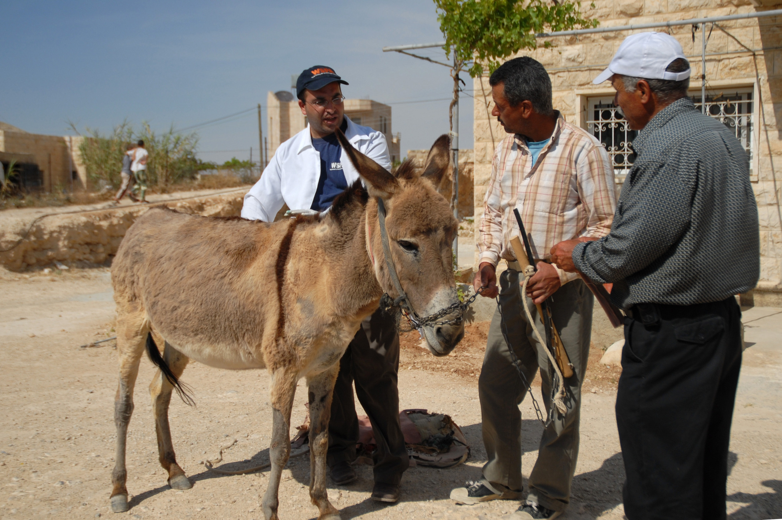 Dr Yousef (left) talks to the donkey's owner (centre) while one of the local facilitators (right) looks on. The facilitator had offered his house as a location for the mobile clinic which shows commitment to the programme.