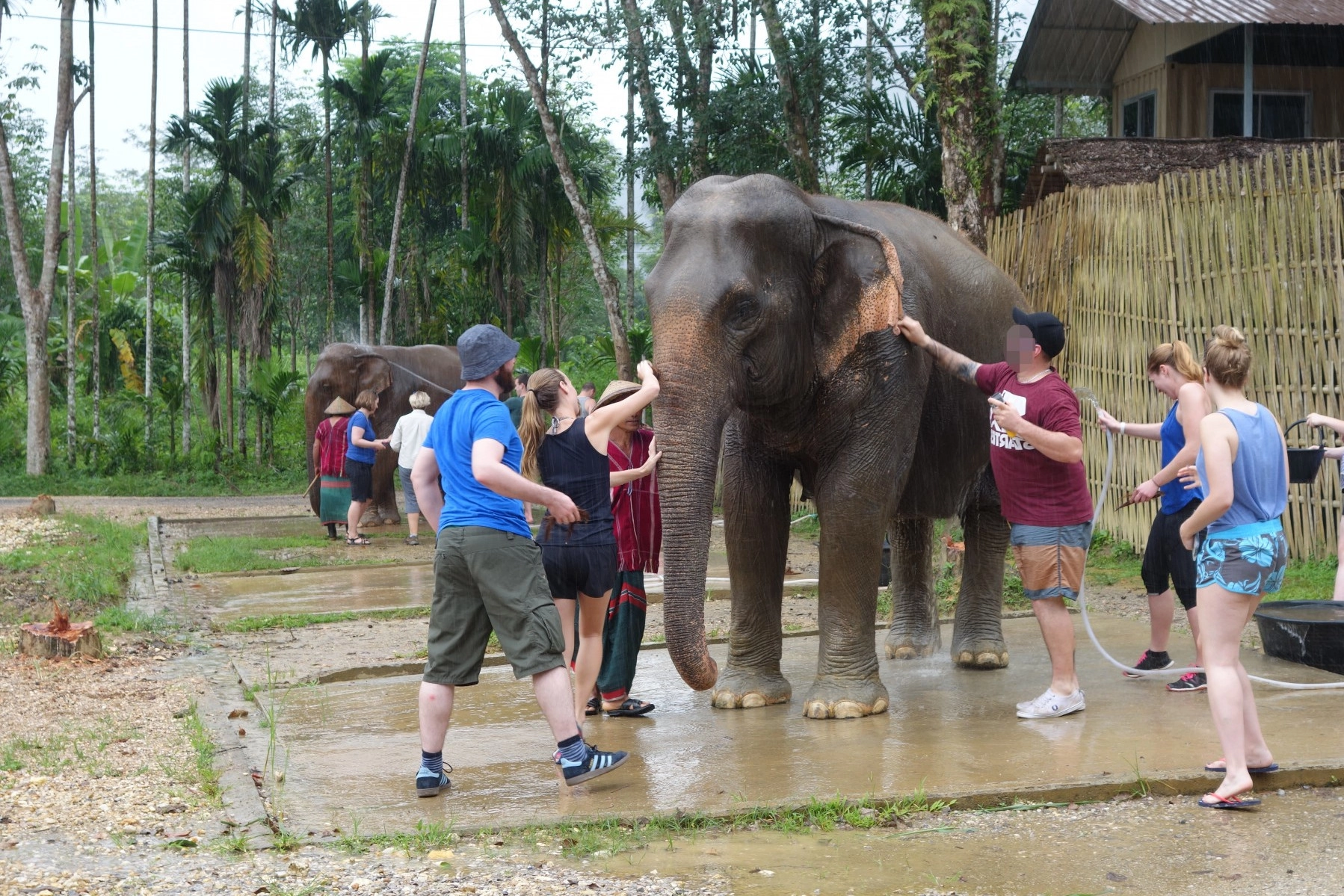 An elephant being washed by a group of tourists and a mahout. Behind another station is visible, where the same thing is happening to another elephant.