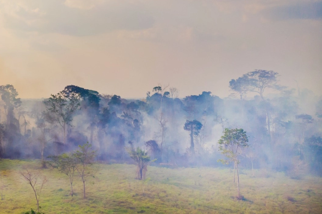 Brazil’s Amazon rainforest is in flames, burning at the highest rate since 2013.